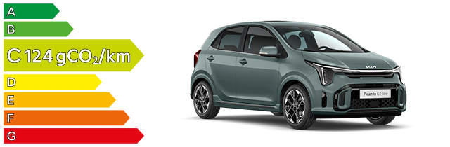 polluscore_kia_picanto_124